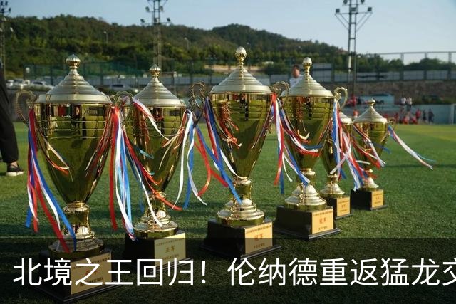 北境之王回归！伦纳德重返猛龙交易评级：猛龙C+ 快船A+