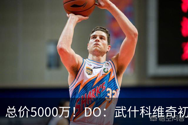 总价5000万！DO：武什科维奇初始转会费4600万镑，热刺有二转分成